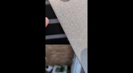Boop Checks at the Industrial Frog Hotel