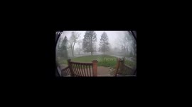 Big Tree Falls in Rochester Hills Storm