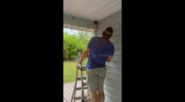 DIY Wasp Nest Removal