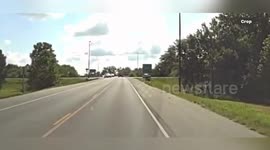 US: Large Cow Causes Hoof Chase On Illinois Overpass Before Being Wrangled By Deputies
