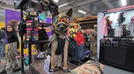 Colombia’s International Pet Fair brings together animal lovers