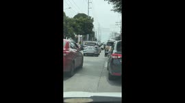 Pet dogs have barking match from two cars stuck in traffic