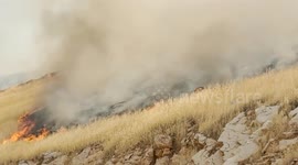 Two killed battling forest fire in Iraq’s Halabja province