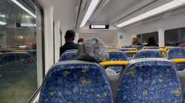 Trains indefinitely delayed due to person on the tracks in Sydney, Australia