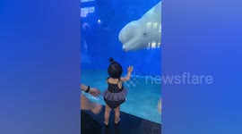 Beluga opens mouth leaving toddler afraid of being eaten in tears