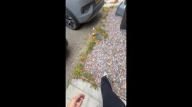 Bin mix-up ends in maggot infestation- shocks 298,000 viewers