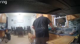 Silly Dog Pulls Dishes Off Dishwasher