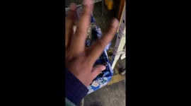 Cat sticks out tongue as owner scratches its back