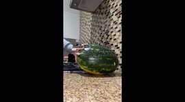 Ever Had a Fruit Ruin Your Whole Day?