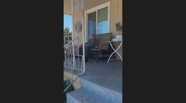 Door to Door Knocker Gets Over Stimulated