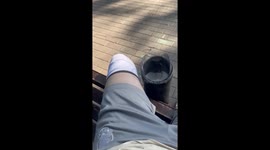 Pigeon hilariously imitates sitting person on one leg in Murmansk, Russia