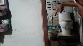 Snake caught in grandmother’s bathroom sink