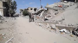 Palestinian death toll in Gaza rises to 62,064
