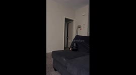 Cat peeks through doorway with glowing eyes in Tulsa, Oklahoma