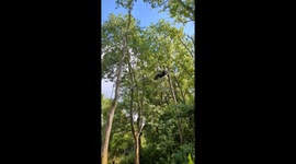 climber swings for the tree and misses going for a ride