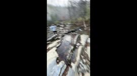 Man hops across creek rocks but slips and falls into the water with a splash