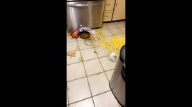Delicious food goes to waste and ruins Thanksgiving for the family
