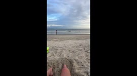 Small Plane Makes Emergency Landing Near Oak Island Pier