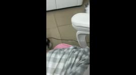 Mother Cat Rushes to Catch Kitten