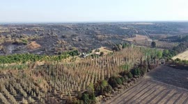 Drone footage reveals scorched forests in Spain’s Leon
