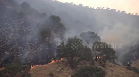 Iraq: Wildfire in Halabja brought under control after 3 days