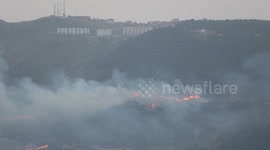 Algeria: Firefighting efforts underway as wildfire breaks out in Algeria