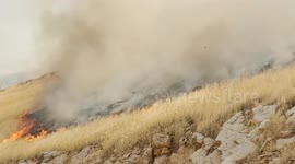 Iraq: Two killed battling forest fire in Iraq’s Halabja province