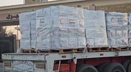Egypt: Aid trucks enter Gaza through Rafah crossing amid Israeli blockade