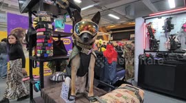 Colombia: Colombia’s International Pet Fair brings together animal lovers