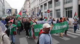 France: Hundreds march in Paris over Gaza humanitarian crisis