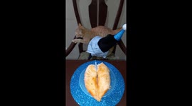 Cat falls while stealing birthday cake beside dog in Santa Cruz de la Sierra, Bolivia