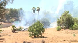 US, Los Angeles: Pomona Brush Fire Near 71 Freeway