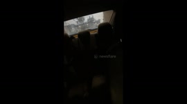 Dog bamboozled as owner drives through car wash