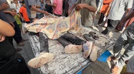 Children among 5 Palestinians killed in Israeli strike while waiting for aid