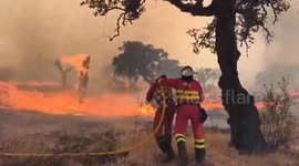 Spain reports nearly 400,000 hectares burned and 37 arrests due to fires