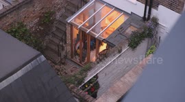 Foxes in a london garden