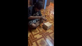 Kitten stuck in wooden box is rescued with a hammer