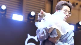 China: Pet Fair Asia showcases fashion and tech for furry friends