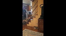 When Your Dogs Have Never Seen Stairs Before