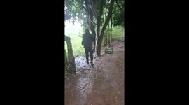 Soldier rescue two puppies from undergrowth during border patrols