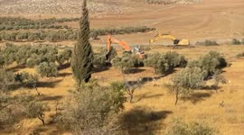 Bulldozers Clear Olive Fields for Settlement Expansion in the West Bank
