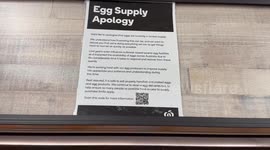 Egg supply apology at supermarket in Sydney, Australia