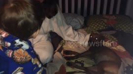 Best Christmas Gift Ever: Boy Meets His Furry Best Friend!