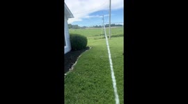 Cat chases water from garden hose in East Tennessee, USA