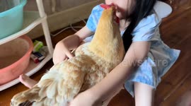 Little girl hugs chickens in Zhejiang, China