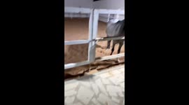 Angry horse tries to bite man near fence in Riyadh, Saudi Arabia