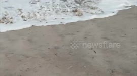 Hurricane Erin: Dangerous Surf At NY Beach