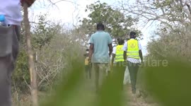 5 more bodies found in suspected cult deaths in Kenya