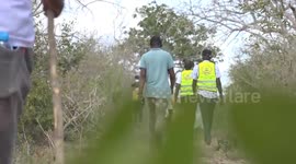 Kenya: 5 more bodies found in suspected cult deaths in Kenya