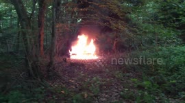 Thieves abandoned and set fire to a vehicle in the forest